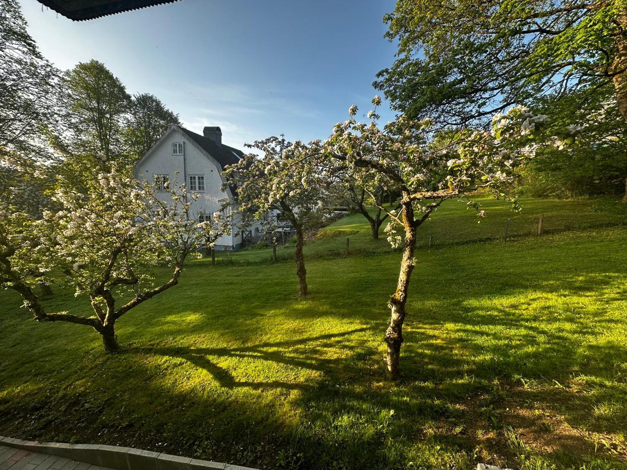Luxury 2 Rooms Residence At The Heart Of Boras Exterior photo